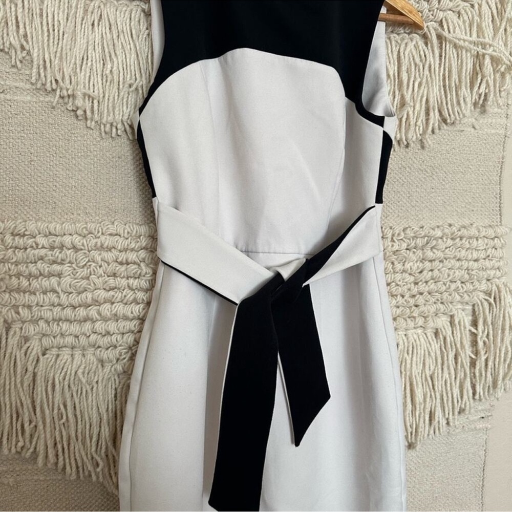 Milly Colorblock Dress - Picture 4 of 8